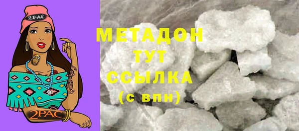гашик Новозыбков