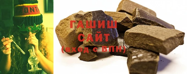 гашик Новозыбков