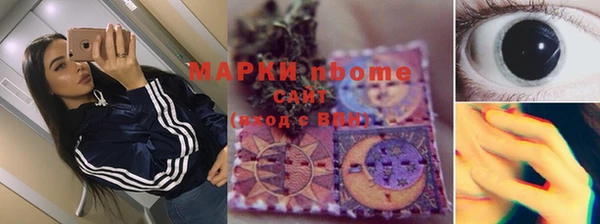 гашик Новозыбков