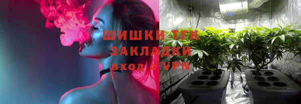 гашик Новозыбков