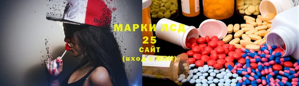 гашик Новозыбков