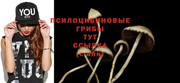 гашик Новозыбков