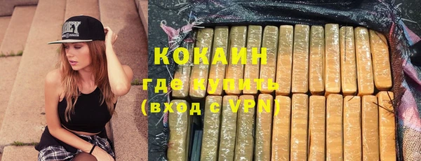 гашик Новозыбков