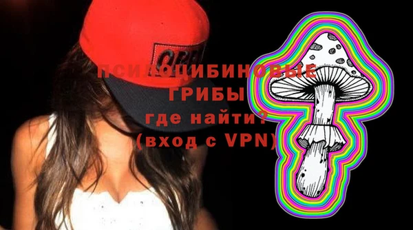 гашик Новозыбков