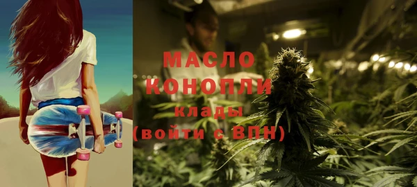 гашик Новозыбков