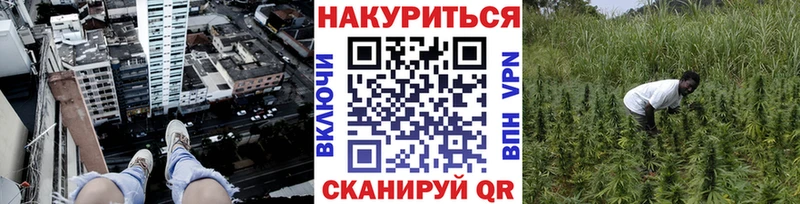 МАРИХУАНА сатива  закладки  Эртиль 